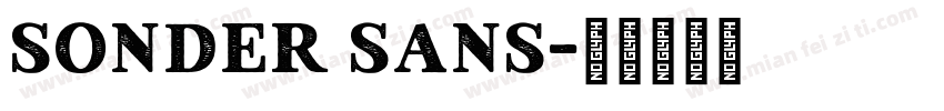 Sonder Sans字体转换